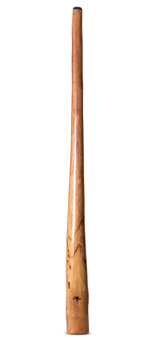 Tristan O'Meara Didgeridoo (TM352)